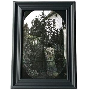 Paranormal Ghost Ghostly Spooky Vintage Oddity Paranormal Victorian Photogragh